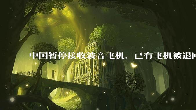 中国暂停接收波音飞机，已有飞机被退回美国，如何看待此事？后续将如何发展？