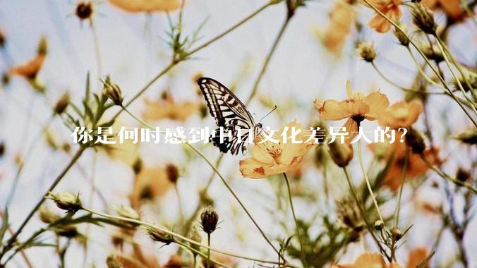 你是何时感到中日文化差异大的？