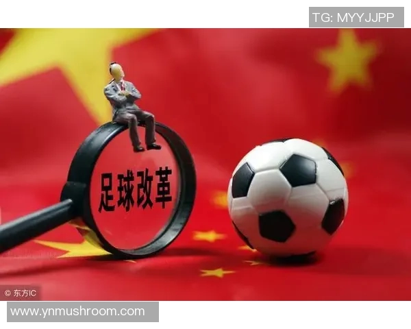 推动中国足球改革发展总体方案助力国家体育强国建设与青少年培养新路径