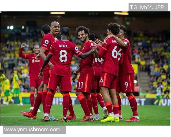 足球动漫直播盛宴尽享精彩赛事与热血青春的完美结合