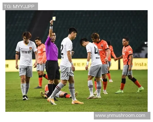 足球黄牌牌的背后故事与影响解析让我们重新审视这项运动的公平与激情