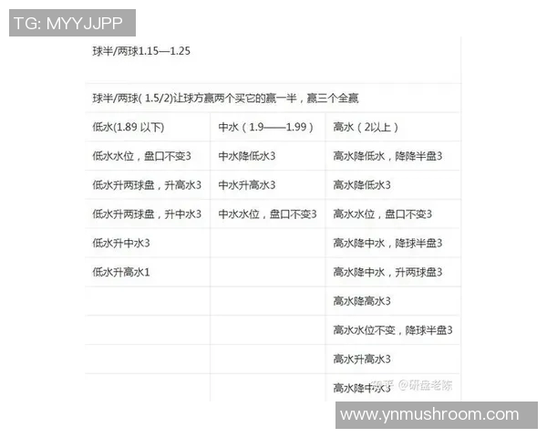 足球水位解析与投注策略探讨提升您的竞猜水平与盈利能力 足球水位解析与投注策略探讨提升您的竞猜水平与盈利能力