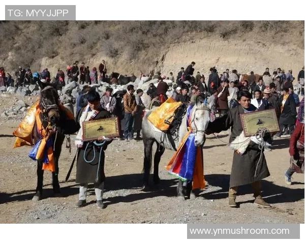 李娜与沃兹尼亚奇的巅峰对决:网球场上的激情与荣耀之战 李娜与沃兹尼亚奇的巅峰对决:网球场上的激情与荣耀之战