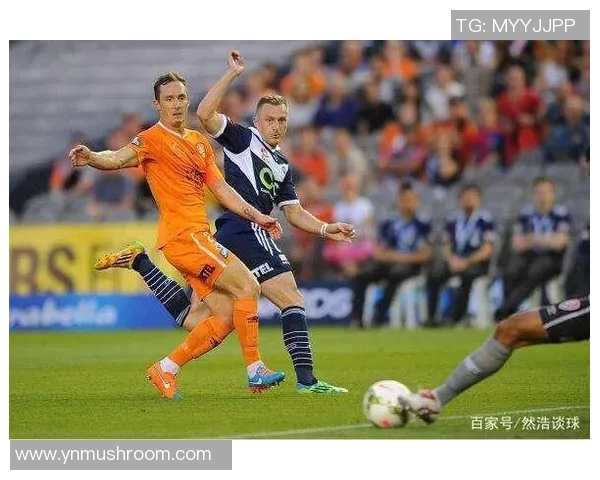 布里斯班对决墨尔本胜利精彩赛事回顾与分析 布里斯班对决墨尔本胜利精彩赛事回顾与分析