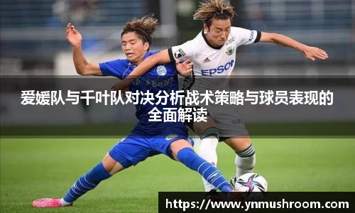 爱媛队与千叶队对决分析战术策略与球员表现的全面解读