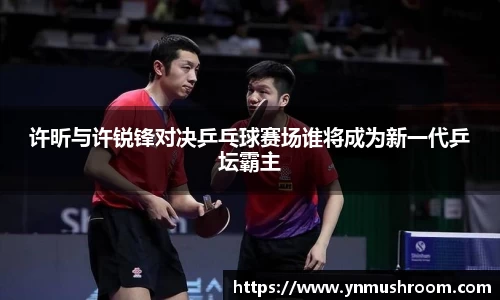 许昕与许锐锋对决乒乓球赛场谁将成为新一代乒坛霸主