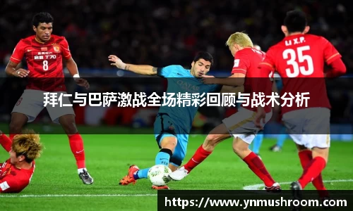 bwin必赢国际