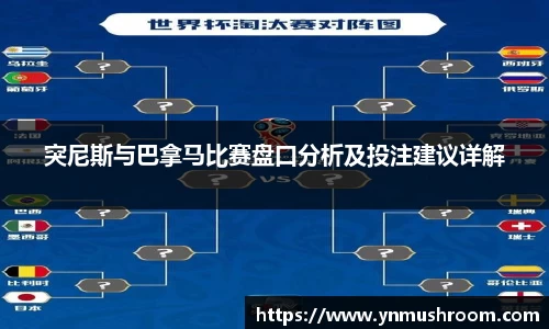 bwin必赢国际