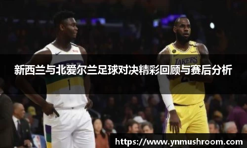 新西兰与北爱尔兰足球对决精彩回顾与赛后分析