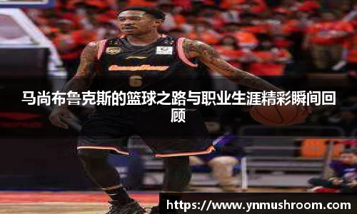 马尚布鲁克斯的篮球之路与职业生涯精彩瞬间回顾