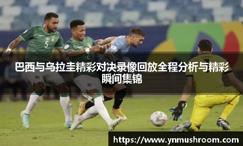 bwin必赢国际