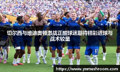切尔西与维迪奥顿激战正酣球迷期待精彩进球与战术较量