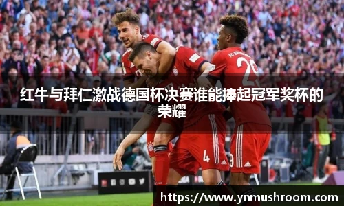 红牛与拜仁激战德国杯决赛谁能捧起冠军奖杯的荣耀