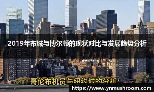 2019年布城与博尔顿的现状对比与发展趋势分析