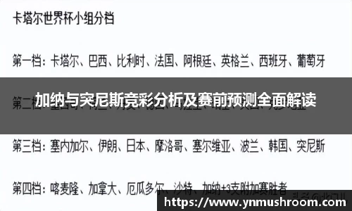 bwin必赢国际