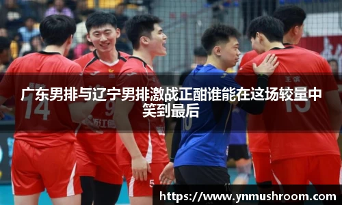 广东男排与辽宁男排激战正酣谁能在这场较量中笑到最后