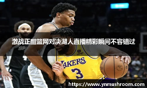 激战正酣篮网对决湖人直播精彩瞬间不容错过