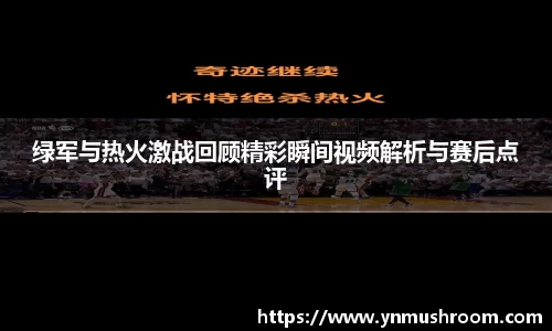 绿军与热火激战回顾精彩瞬间视频解析与赛后点评