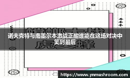 诺夫克特与南墨尔本激战正酣谁能在这场对决中笑到最后