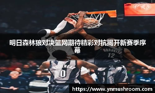明日森林狼对决篮网期待精彩对抗揭开新赛季序幕