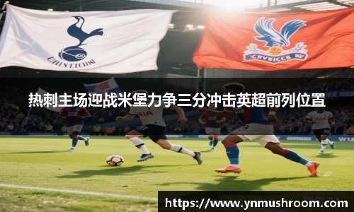热刺主场迎战米堡力争三分冲击英超前列位置