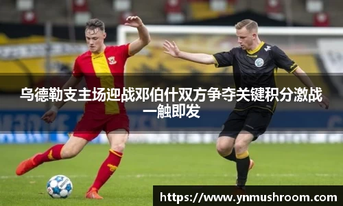 bwin必赢国际