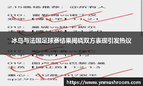 冰岛与法国足球赛结果揭晓双方表现引发热议