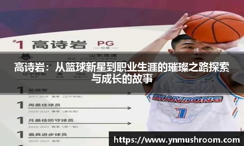 高诗岩：从篮球新星到职业生涯的璀璨之路探索与成长的故事