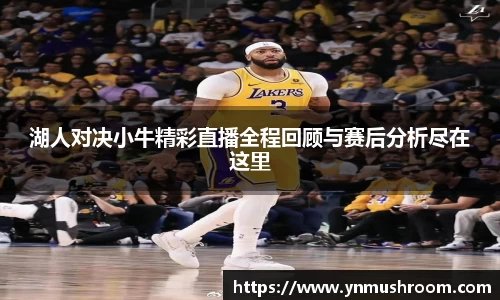 湖人对决小牛精彩直播全程回顾与赛后分析尽在这里