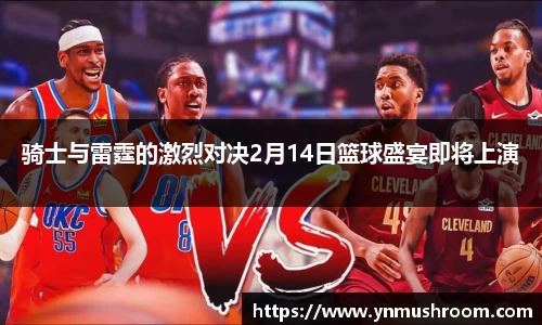 骑士与雷霆的激烈对决2月14日篮球盛宴即将上演